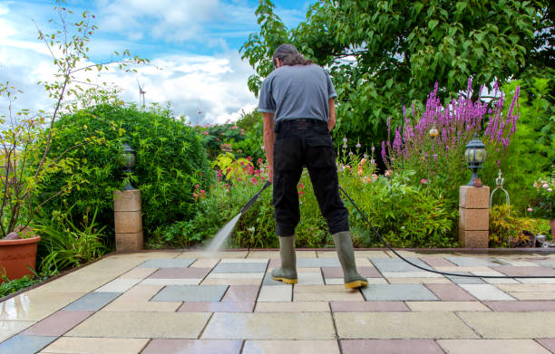 Animal Enclosure Cleaning in Oil City, PA